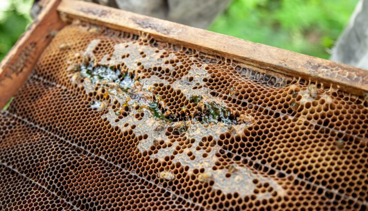 pexels-franco30-8400589