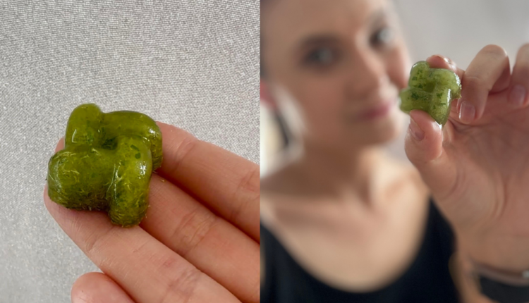 Projekt bez nazwy